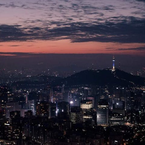 A Tale of Two Flowers: Exploring the Markets of Seoul