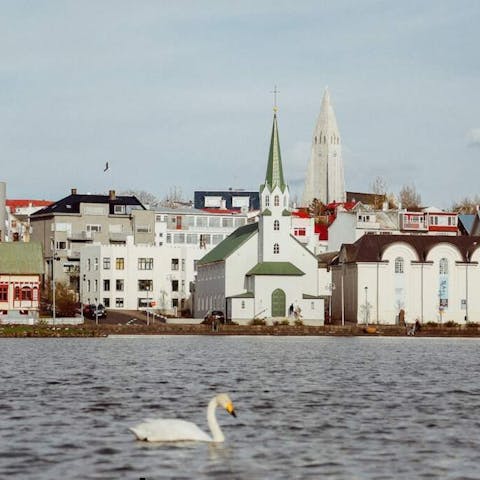 The Blooming Heritage of Reykjavik’s Historical Streets