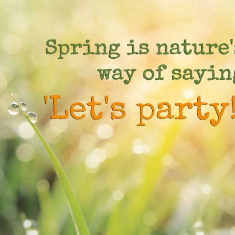 Learn the Most Famous Quotes about Spring to Surprise Your Friends and Family