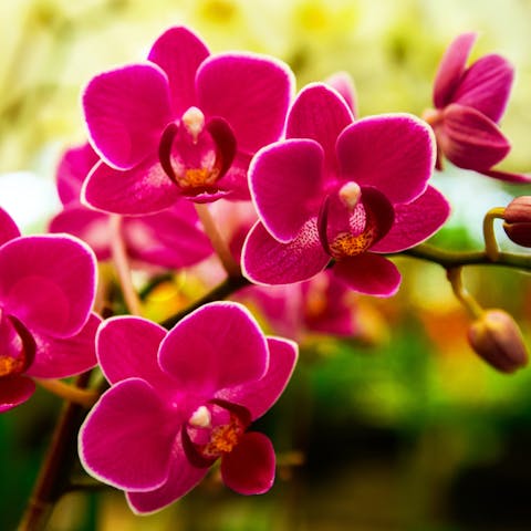 Building the Perfect Floral Bouquet with Cute Flowers