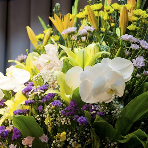 Sending Condolences through Funeral Plants