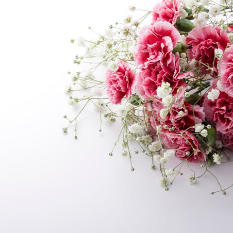 How to Express Love Using Carnations Instead of Words
