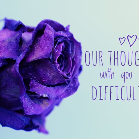 Finding the Perfect Sympathy Message