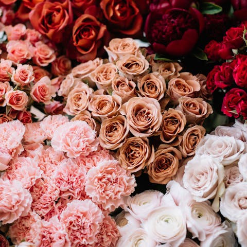 Roses Same-day Deliveries