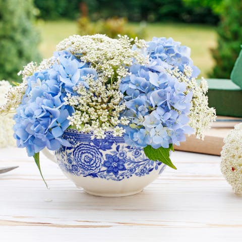 Budget-friendly Flowers with FloraQueen