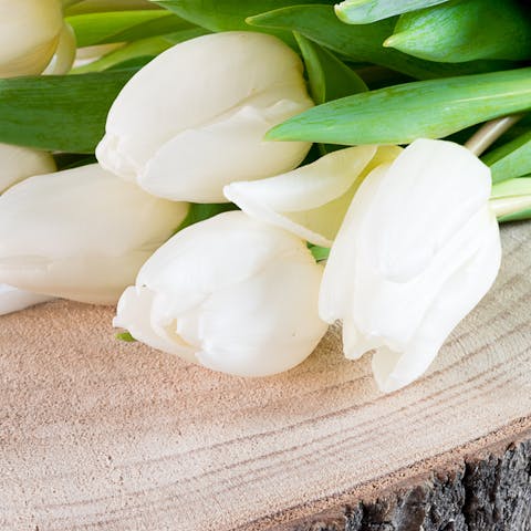Budget-Friendly Sympathy Flowers