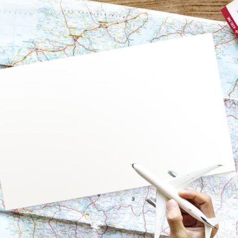 The Best Flowers To Send Someone Starting A New Life Abroad