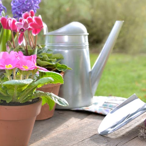 Choosing The Best Perennial Flowers That Bloom From Spring To Fall