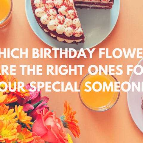 Which Birthday Flowers Are The Right Ones For Your Special Someone?
