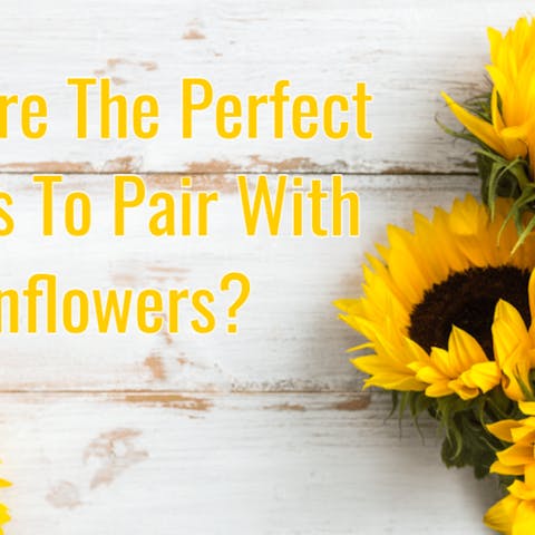 What Are The Perfect Flowers To Pair With Sunflowers?