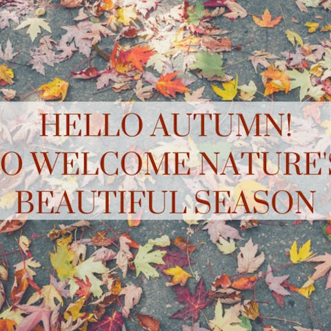 Hello Autumn! How To Welcome Nature’s Most Beautiful Season