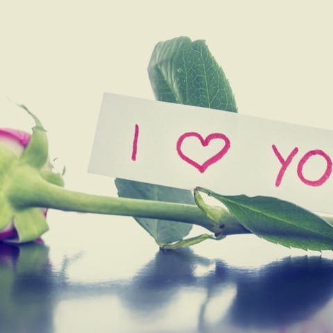 The Most Romantic Messages That Will Impress on Valentine’s Day