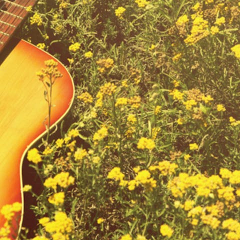 Five of the best songs about flowers