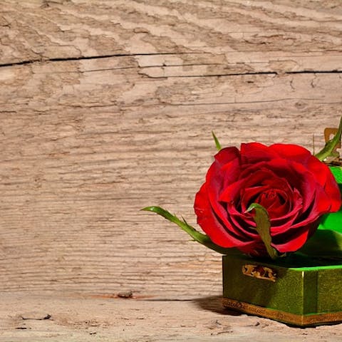 Christmas Paper Rose