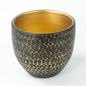 Bitki Parsel Fas'ta - S/12cm